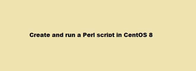 Create Run a Perl Script