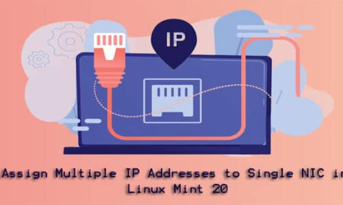 Assign Multiple IP Addresses on Linux Mint 20