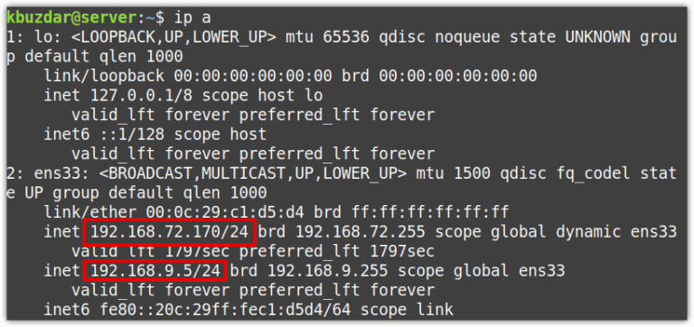 How To Assign Multiple Ip Addresses To Single Nic In Linux Mint 20 How To Assign Multiple Ip Addresses To Single Nic In Linux Mint 20
