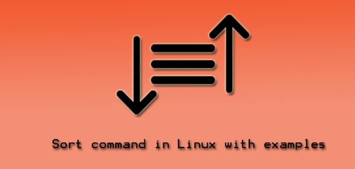 Sort Command Example in Linux