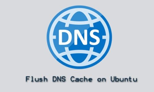 Flush DNS Cache on Ubuntu 20.04