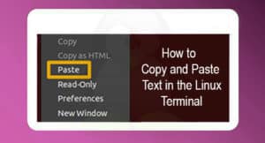 How to Copy and Paste Text in the Linux Terminal – LinuxWays