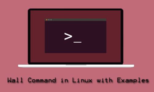 Wall Command in Linux