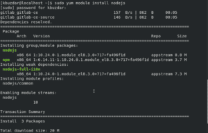 yum nodejs yum nodejs