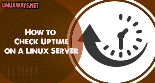 How to Check Uptime on a Linux Server