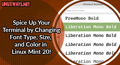 Spice Up Your Terminal by Changing Font Type, Size, and Color in Linux Mint 20!