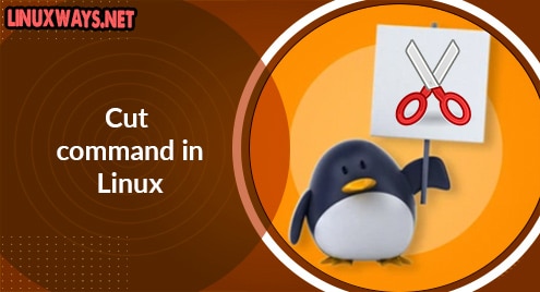Cut command in Linux
