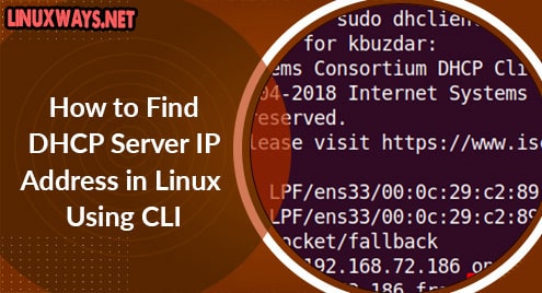 How to Find DHCP Server IP Address in Linux Using CLI