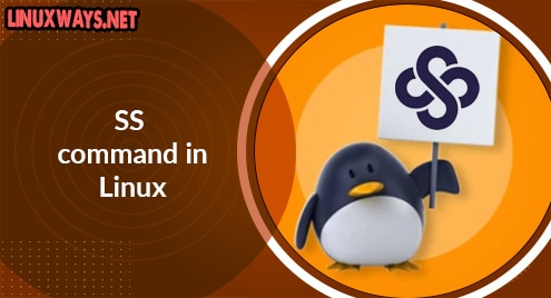 SS Command in Linux