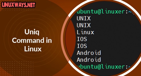 Uniq Command in Linux