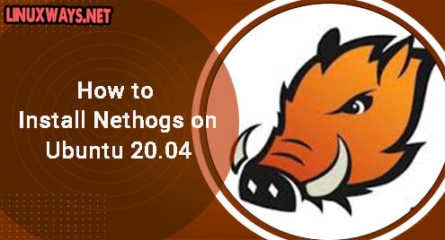 How to Install Nethogs on Ubuntu 20.04