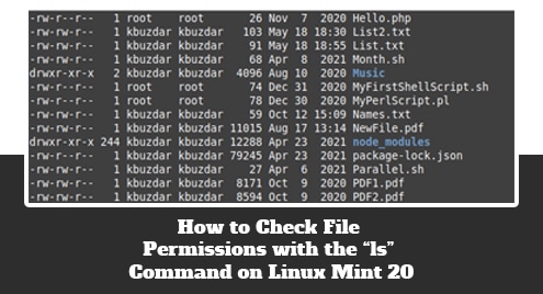 How to Check File Permissions with the “ls” Command on Linux Mint 20