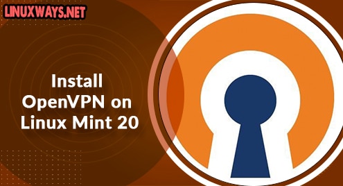 Install OpenVPN on Linux Mint 20