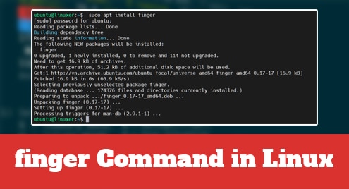 finger Command in Linux
