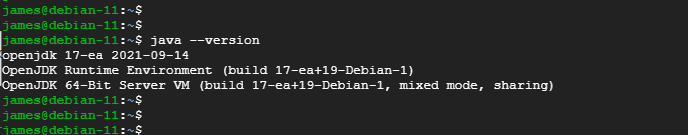 debian install java