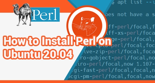 How to Install Perl on Ubuntu 20.04