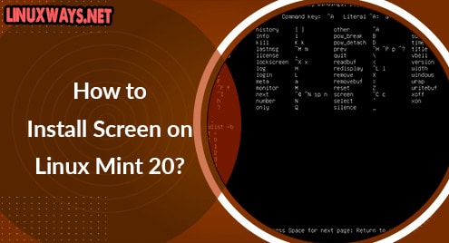 How to Install Screen on Linux Mint 20?