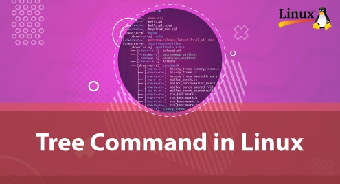 Tree Command in Linux