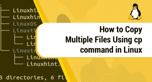 How to Copy Multiple Files Using cp command in Linux
