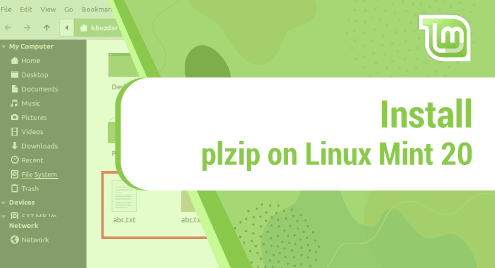 Install plzip on Linux Mint 20
