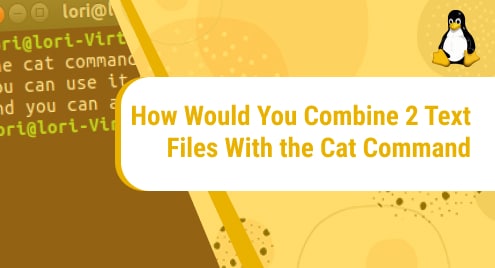 How_Would_You_Combine_2_Text_Files_With_the_Cat_Command