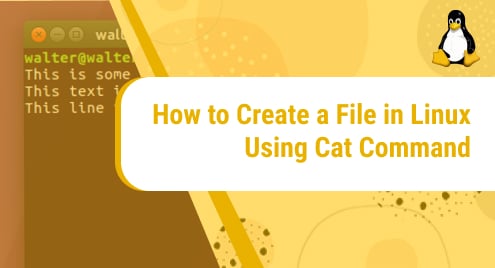 How_to_Create_a_File_in_Linux_Using_Cat_Command