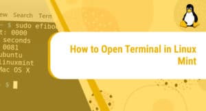 How to Open a Terminal in Linux Mint – LinuxWays