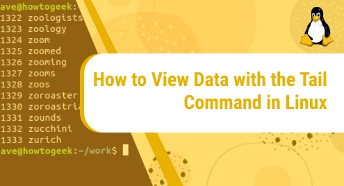 How_to_View_Data_with_the_Tail_Command_in_Linux