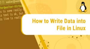How to Write Data into File in Linux – LinuxWays