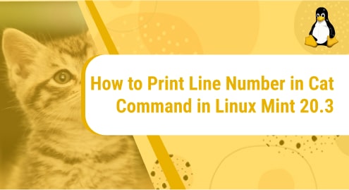 How_to_Print_Line_Number_in_Cat_Command_in_Linux_Mint_20.3