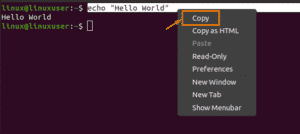 How to Copy and Paste in Ubuntu – LinuxWays
