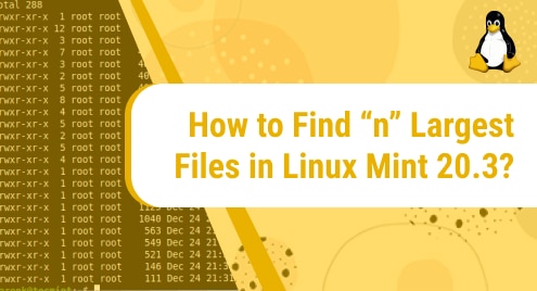 How_to_Find_n_Largest_Files_in_Linux_Mint_20.3_