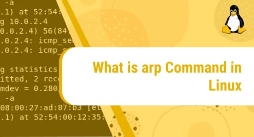 What is arp Command in Linux