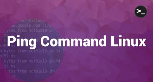 Ping Command Linux