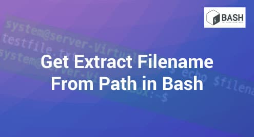 Get Extract Filename From Path in Bash