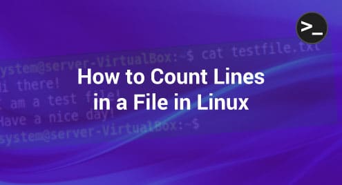 How to Count Lines in a File in Linux
