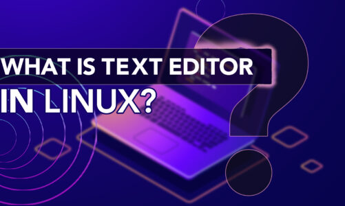 What is a Text Editor in Linux