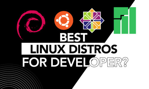 Which Linux is best for developer