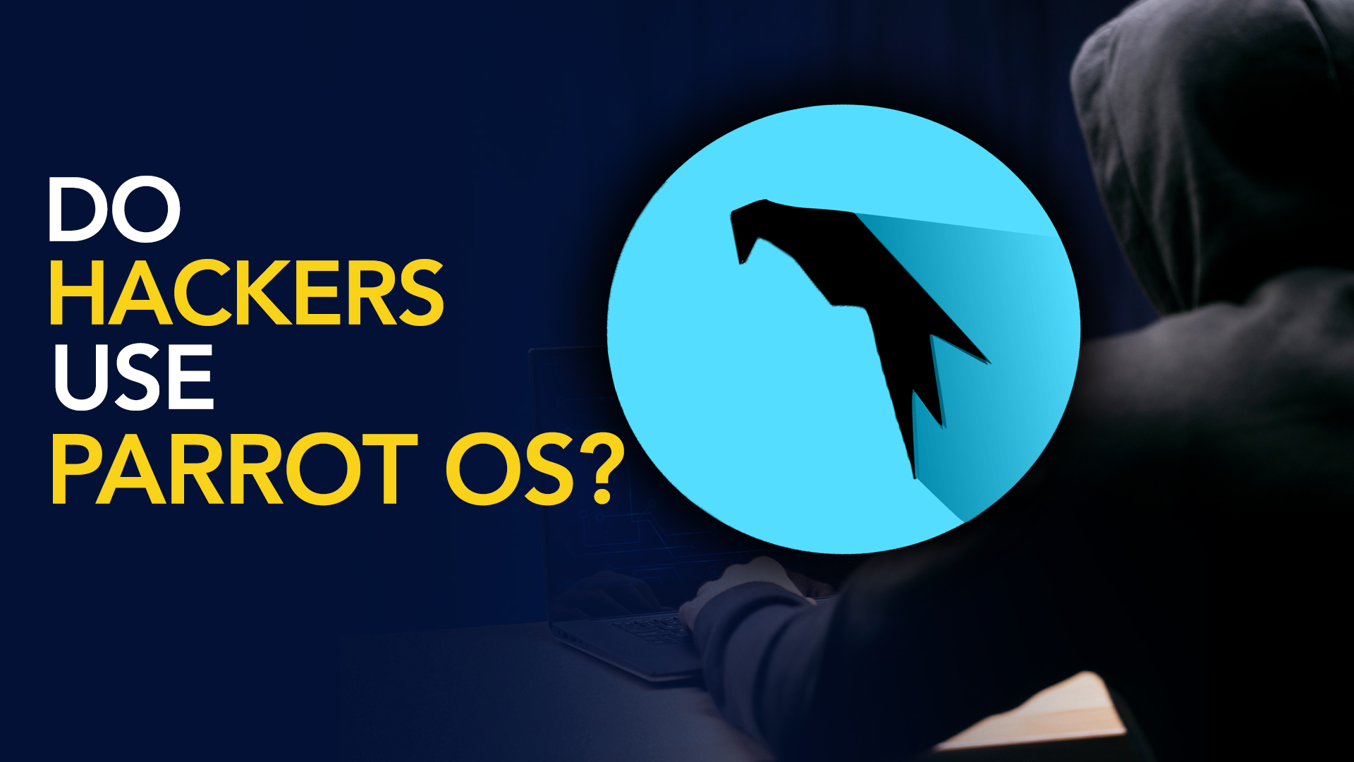 Do hackers use Parrot OS