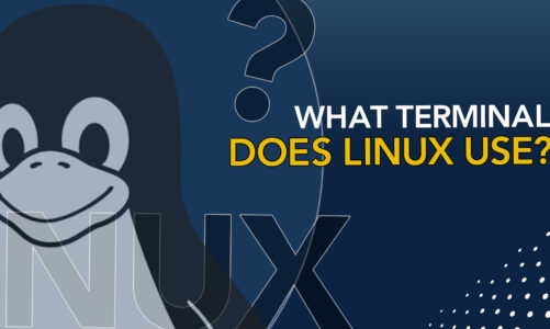 What terminal does Linux use?