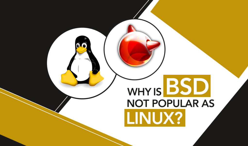 Why is BSD not popular as Linux