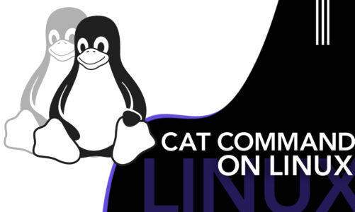 Cat command on Linux