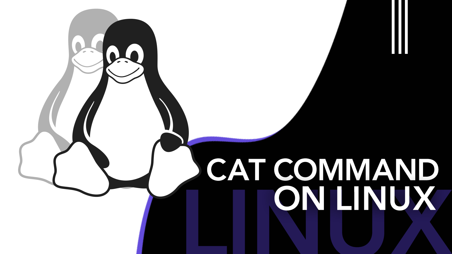 Cat command on Linux