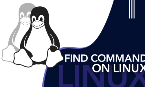 Find command on Linux