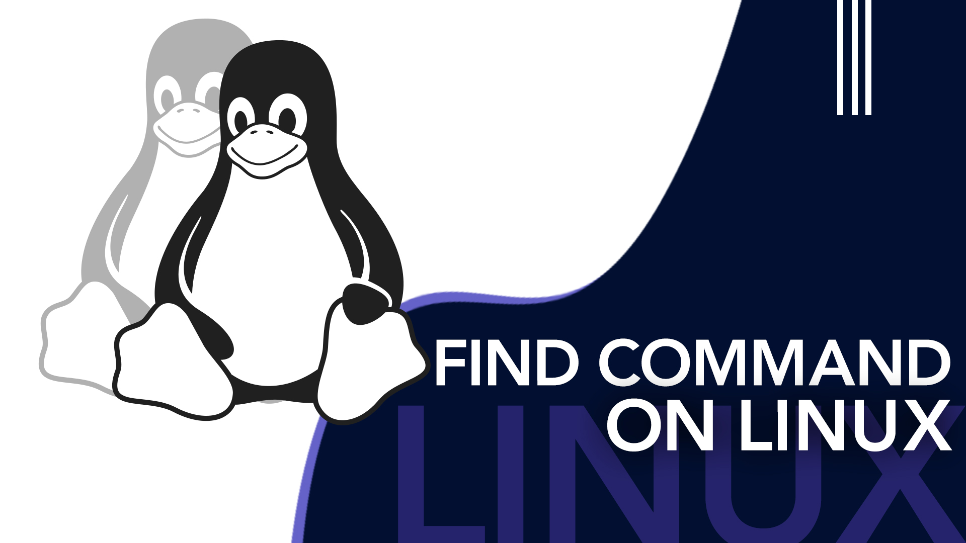 Find command on Linux