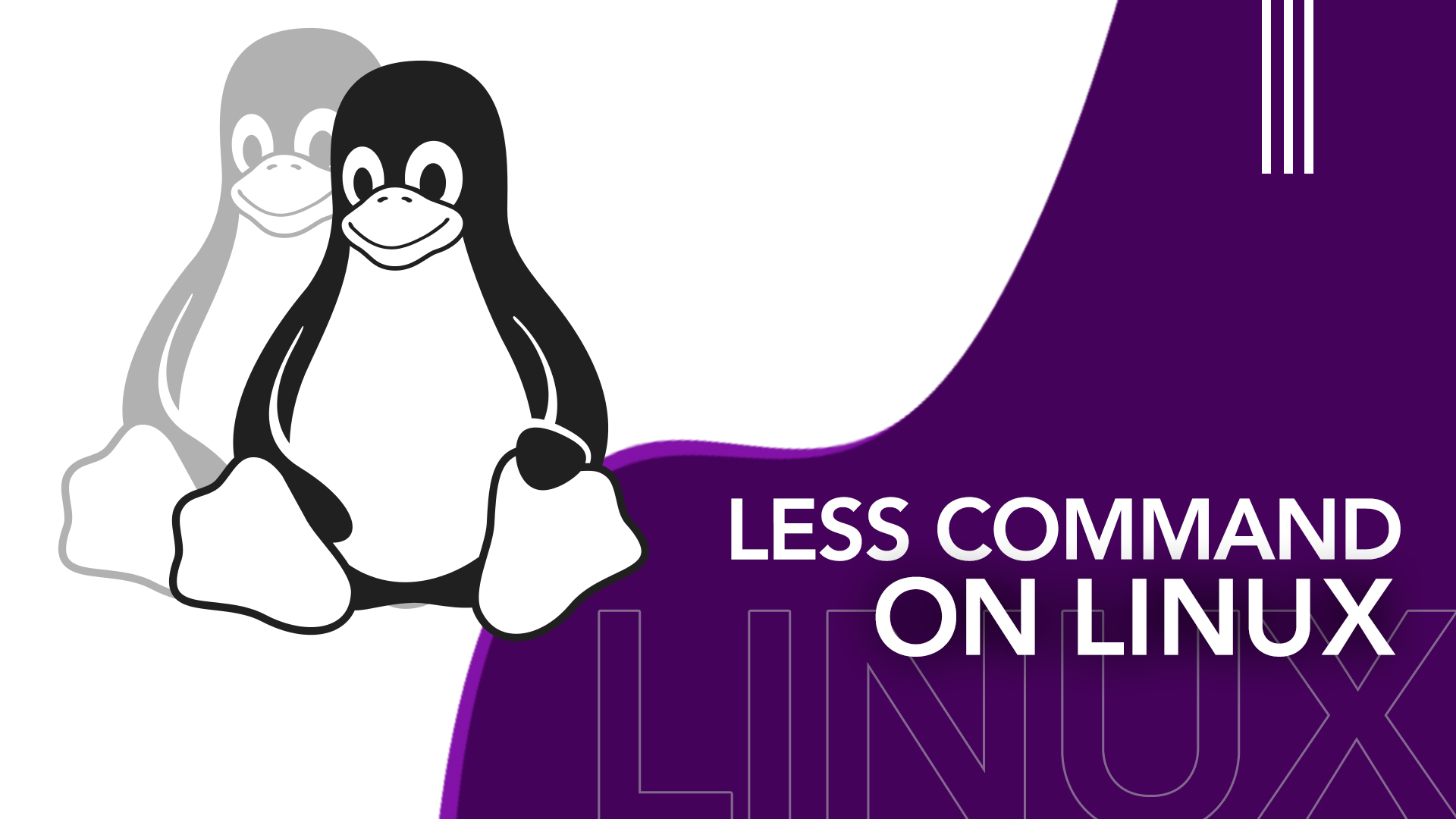 Less Command on Linux