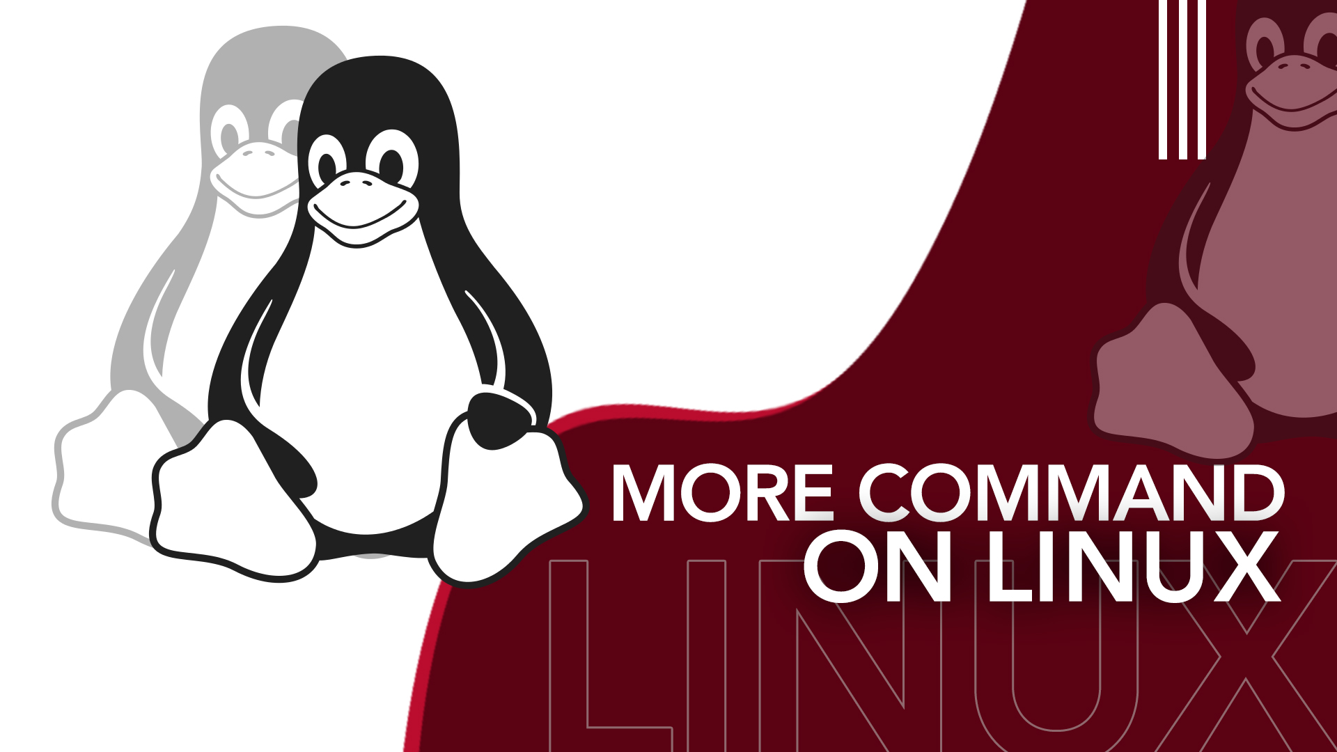 More command on Linux