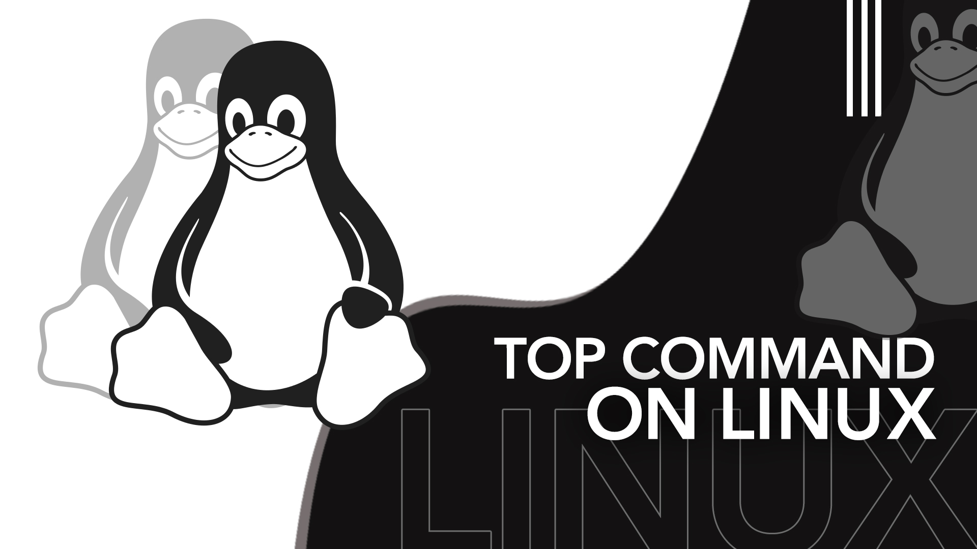 Top command on Linux