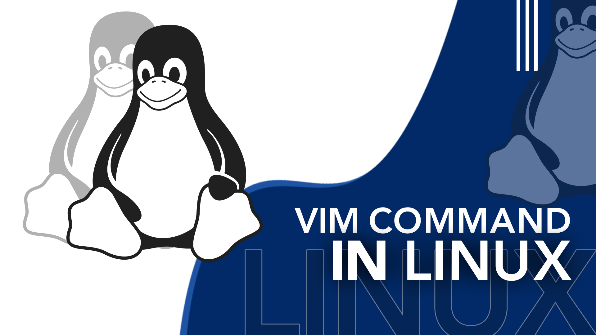 Vim command on Linux for beginners
