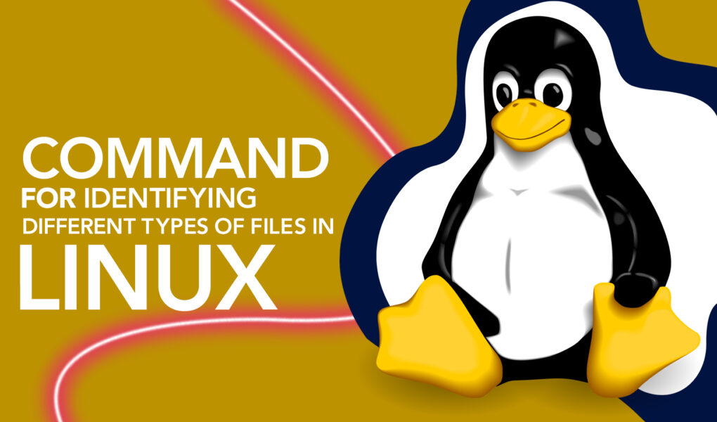 What command is most effective at identifying different types of files in Linux